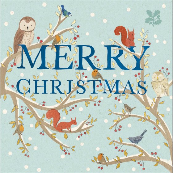 Woodmansterne 'Christmas Gathering' Christmas Card Box