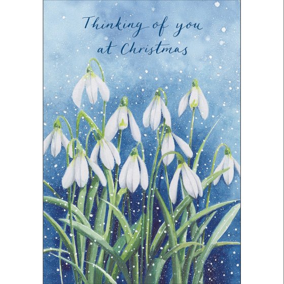 Woodmansterne 'Winter Snowdrops Thinking Of You' Christmas Card