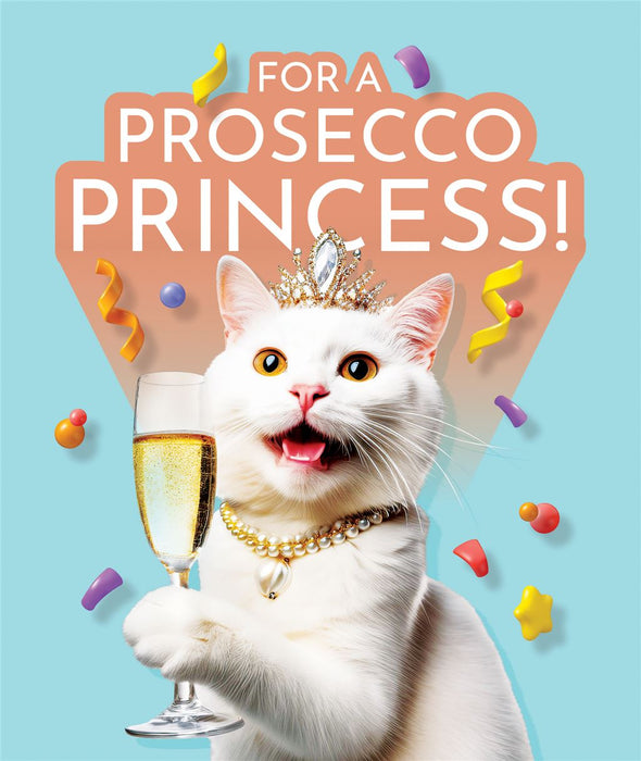 W&W Emotional Rescue 'For A Prosecco Princess' Open Card