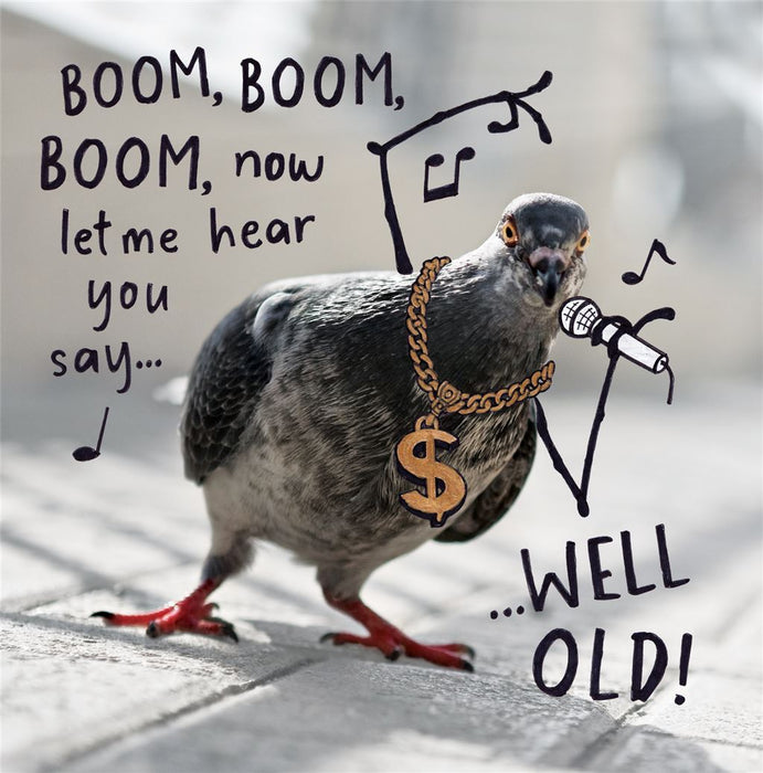 W&W Emotional Rescue 'BOOM BOOM BOOM Now Let Me Hear You Say ... Well Old' Birthday Card