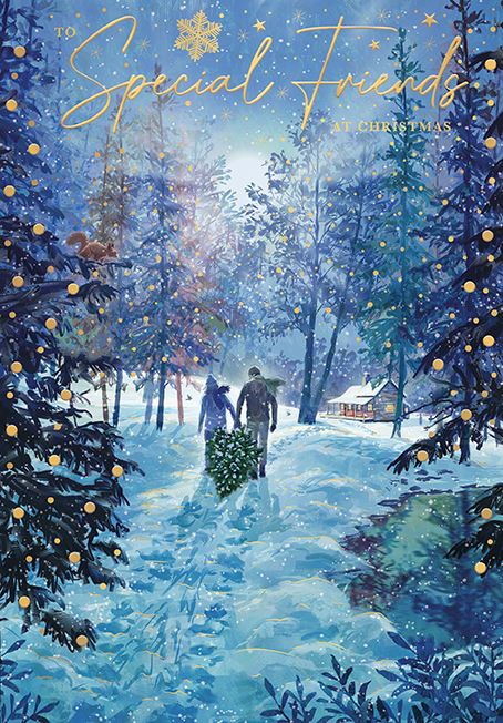 Words N Wishes 'Special Friends At Christmas' Christmas Card