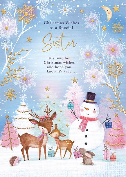 Words N Wishes 'Christmas Wishes To A Special Sister' Christmas Card