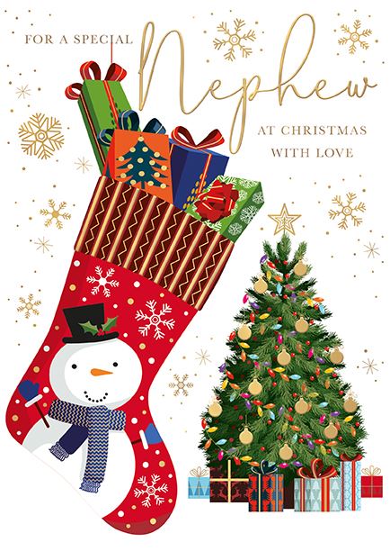 Words N Wishes 'For A Special Nephew' Christmas Card
