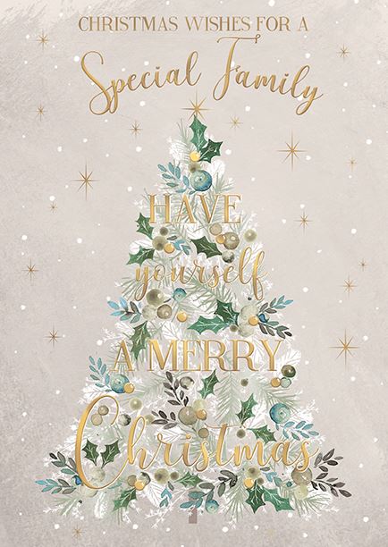 Words N Wishes 'Christmas Wishes For A Special Family' Christmas Card