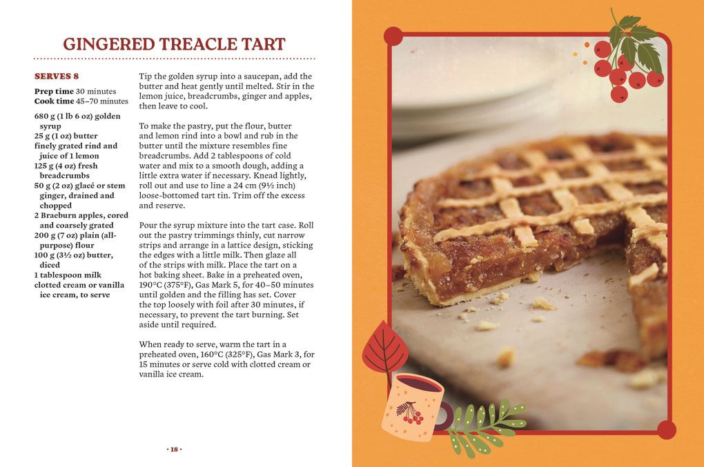 Bookspeed Cinnamon Bun Cookbook