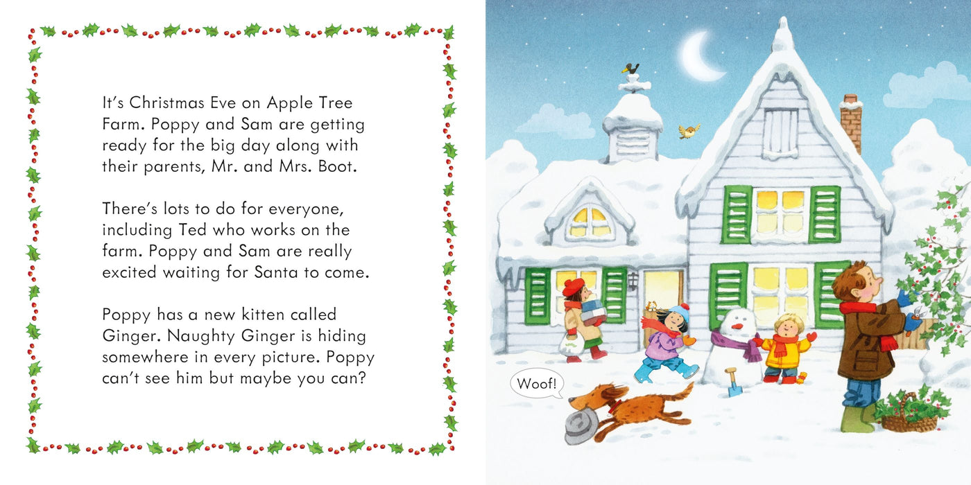 Usborne Poppy and Sam's Lift-the-Flap Christmas with Advent Calendar