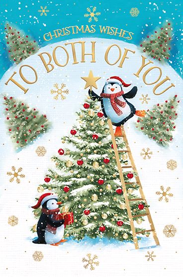 Words N Wishes 'Christmas Wishes To Both Of You' Christmas Card