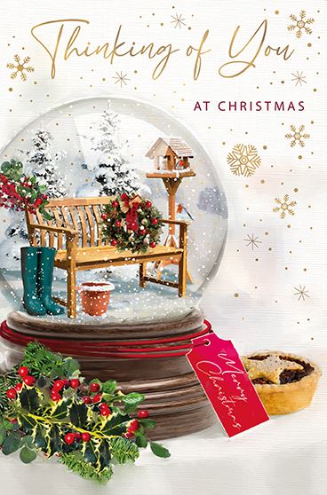 Words N Wishes 'Thinking Of You At Christmas' Christmas Card