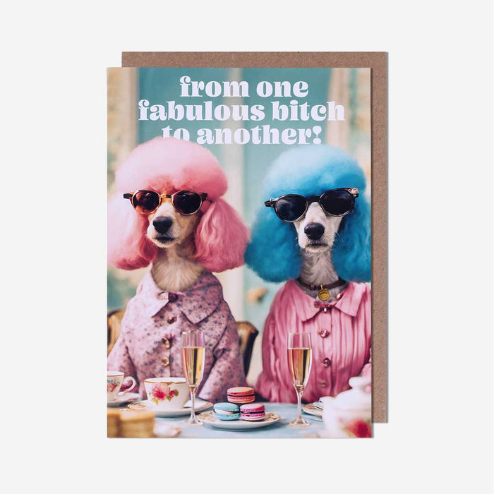 Pigment 'From One Fabulous Bitch To Another' Birthday Card