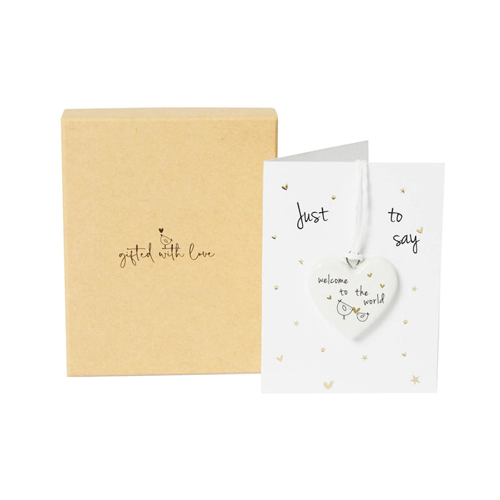 Belly Button Welcome To The World Boxed Decoration