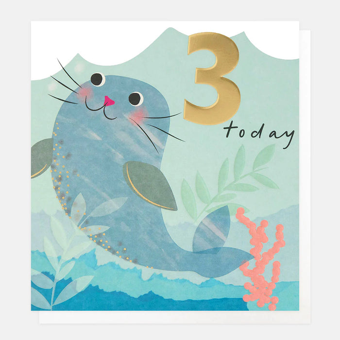 Caroline Gardner Seal 3rd Birthday Card