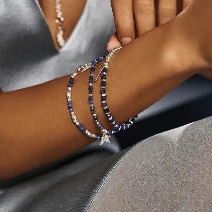 Chlobo Balance Sodalite Bracelet