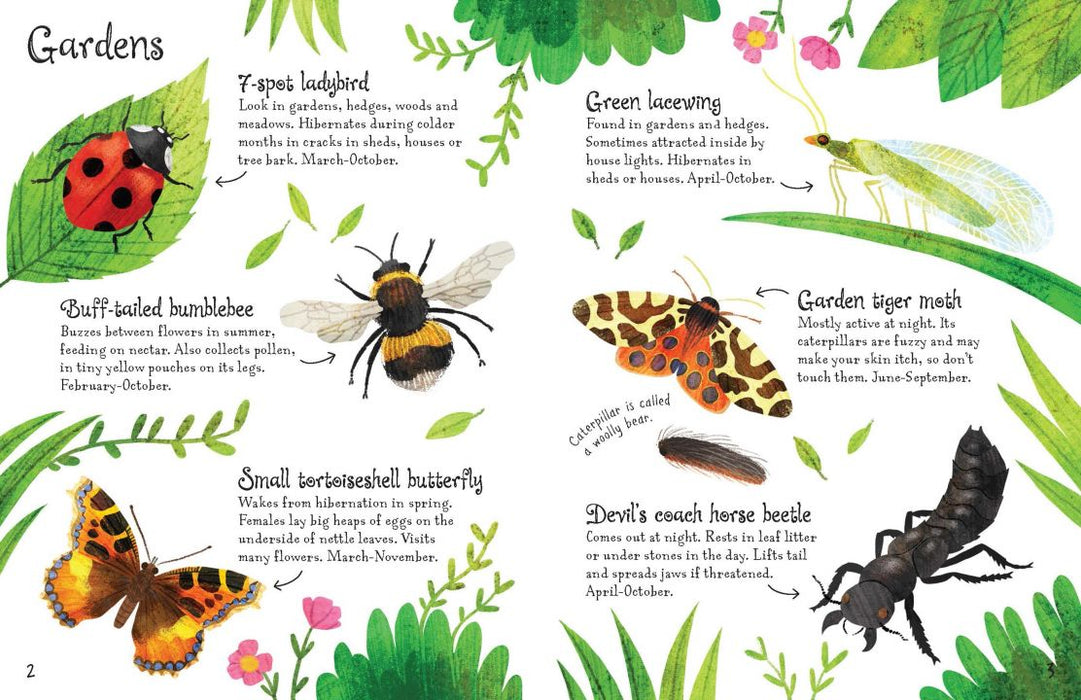 Usborne Minis Bugs To Spot Book