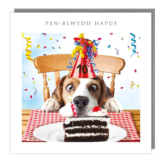 Tracks Publishing 'Welsh Penblwydd Hapus' Card