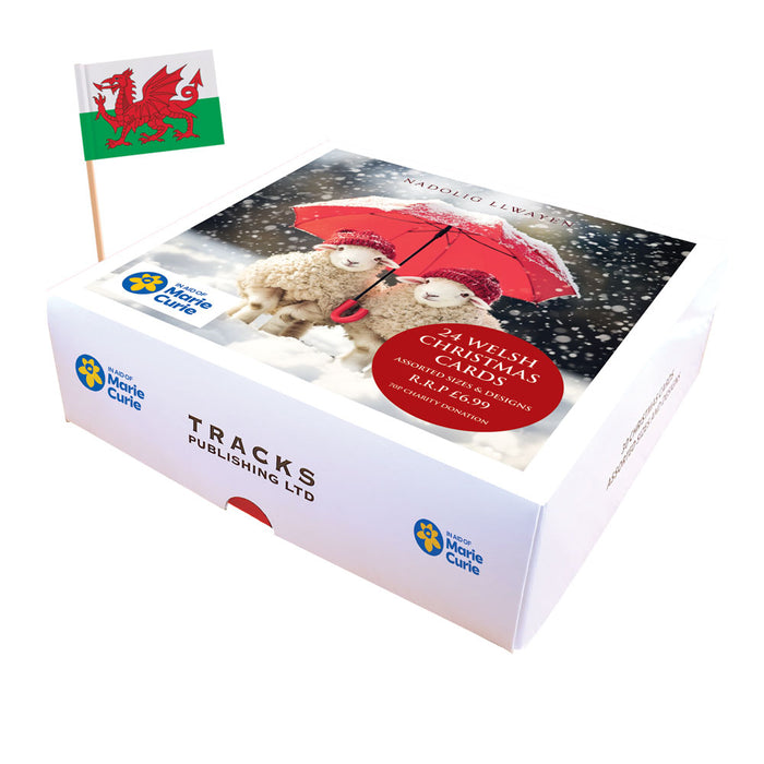Tracks 'Mixed Welsh Christmas Sheep Design' Christmas Card Pack of 24