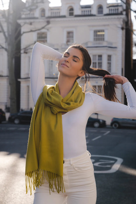 Park Lane Tuscan Olive Celine Scarf