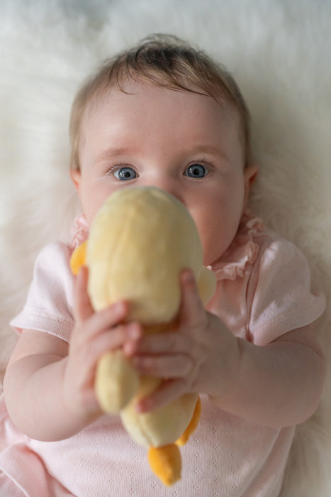 Ziggle Duck Plush Baby Rattle