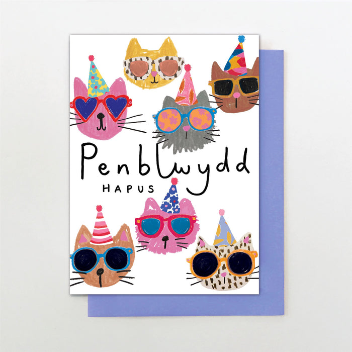 Stop the Clock PENBLWYDD HAPUS CAT FACES Card