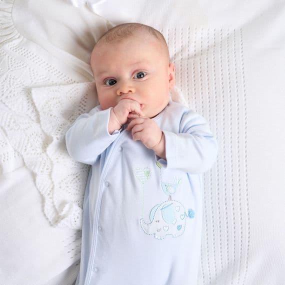 Dandelion Elephant And Bird Cotton Sleepsuit