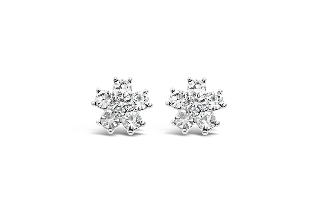 Park Lane Stud Earrings with Stones