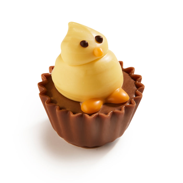 Milk Chocolate Chick Cupcake