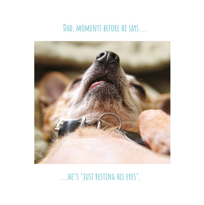 Words N Wishes Emotional Rescue 'Eyes' Fathers Day Card