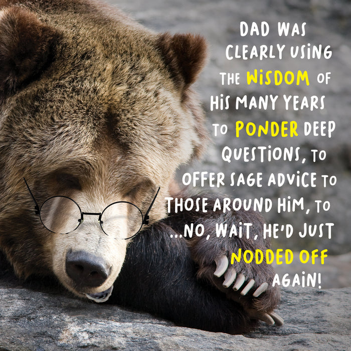 Words N Wishes Emotional Rescue 'Wisdom' Fathers Day Card
