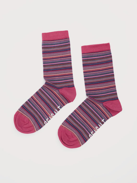 Seasalt Women's Everyday Socks In Ripple Marks Echinacea Mix