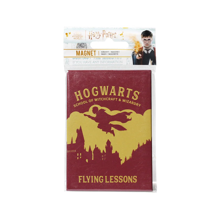 Harry Potter Flying Lesson Magnet
