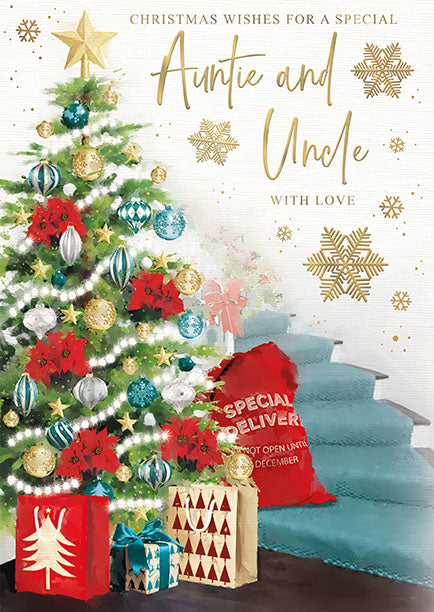 Words N Wishes 'To A Special Auntie & Uncle' Christmas Card