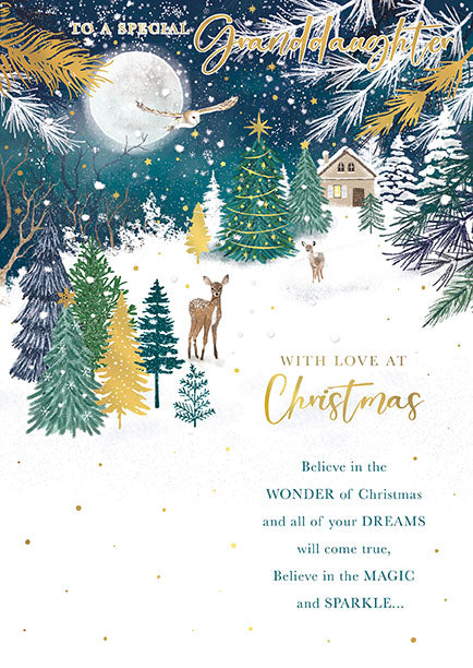 Words N Wishes 'To A Special Granddaughter' Christmas Card