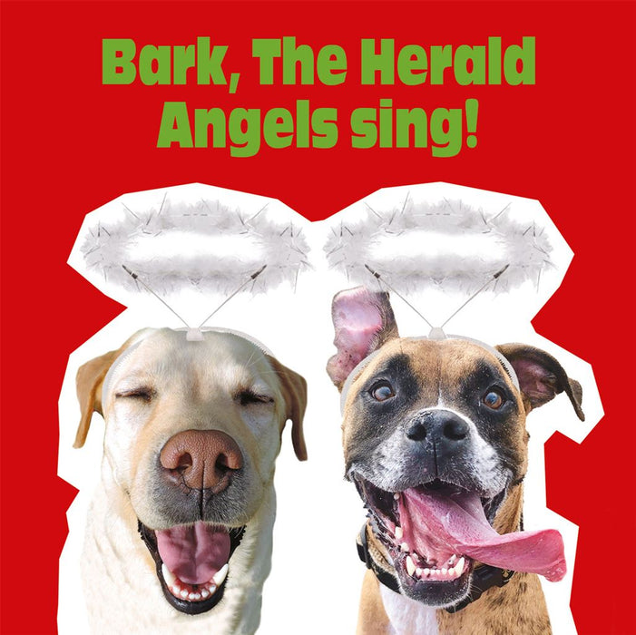 Nigel Quiney 'Bark, The Herald Angels Sing!' Christmas Card