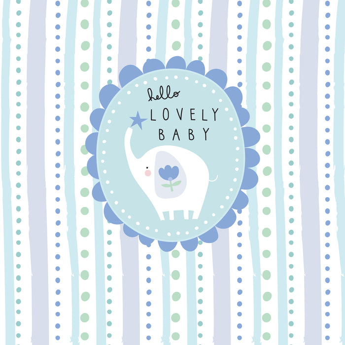 Belly Button 'Mable New Baby Boy' New Baby Card