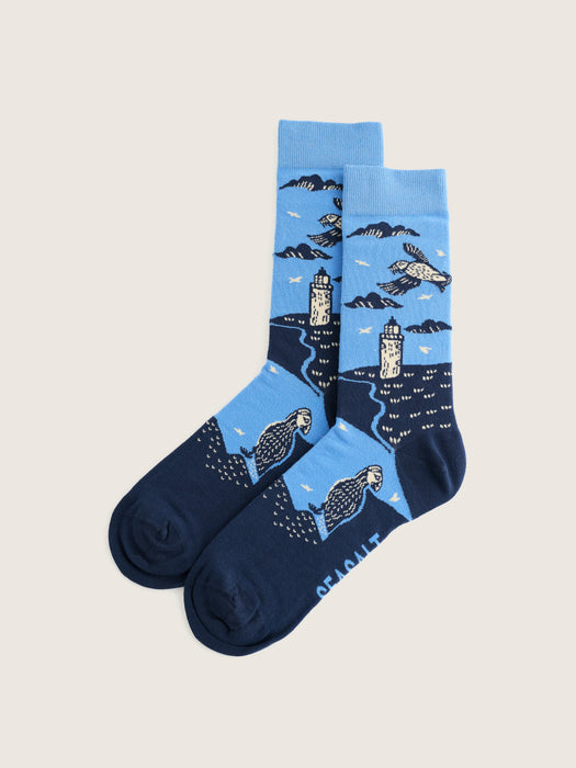 Seasalt Men's Arty Socks In Puffin Cove Tide