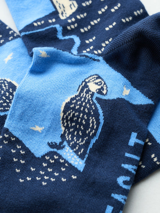 Seasalt Men's Arty Socks In Puffin Cove Tide