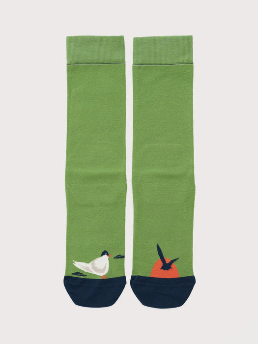 Seasalt Men's Everyday Socks In Sun Down Creek