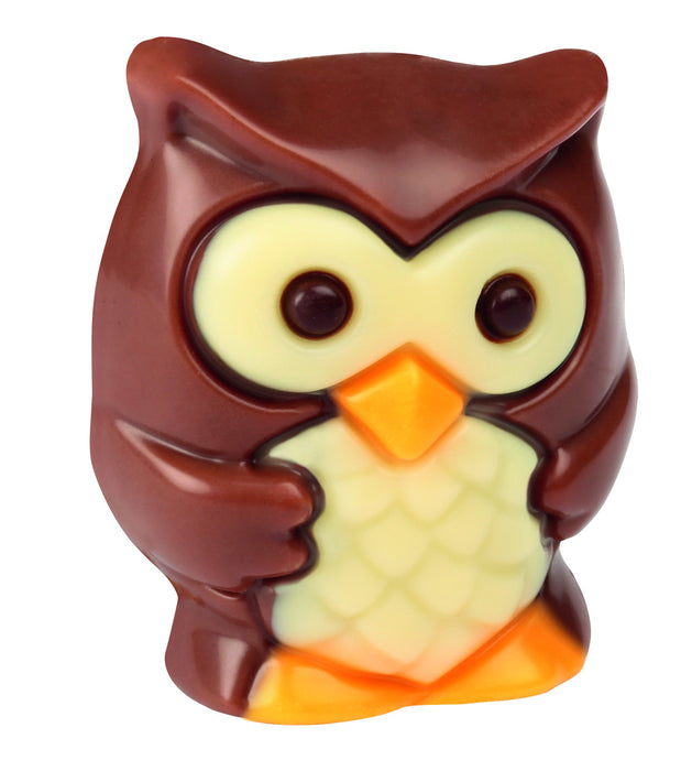 Hazelnut Praline Milk Chocolate Owl