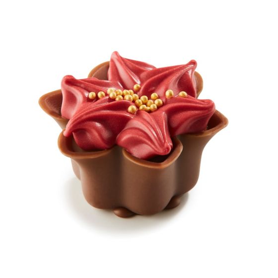Red Flower with Hazelnut Praline Poinsettia