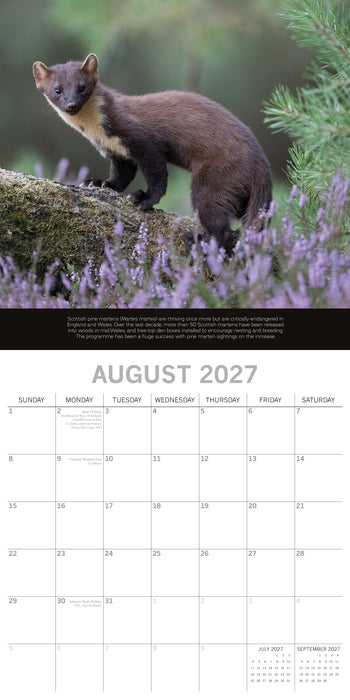 The Gifted Stationery Company 2027 Square Wall Calendar – Rewilding Britain