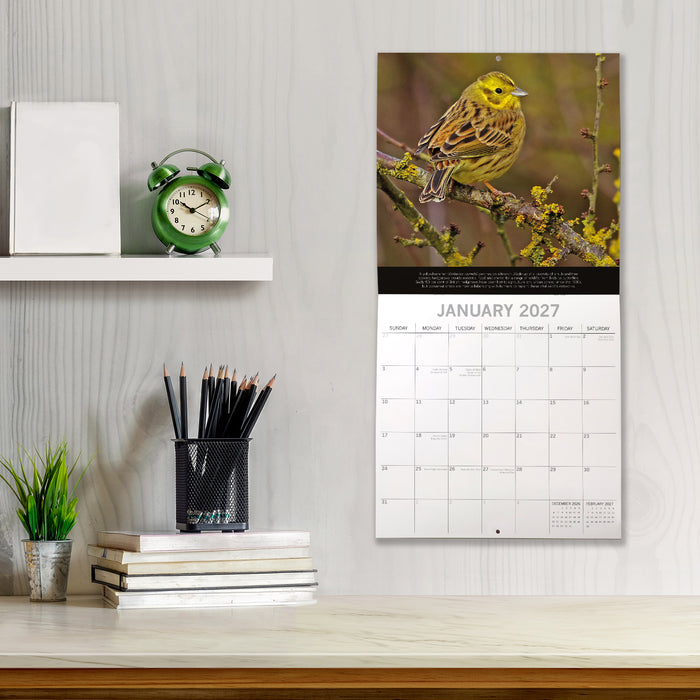 The Gifted Stationery Company 2027 Square Wall Calendar – Rewilding Britain
