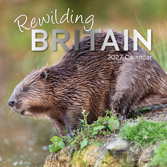 The Gifted Stationery Company 2027 Square Wall Calendar – Rewilding Britain