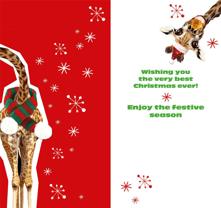 Nigel Quiney 'Son It's Christmaaaas!' Christmas Card