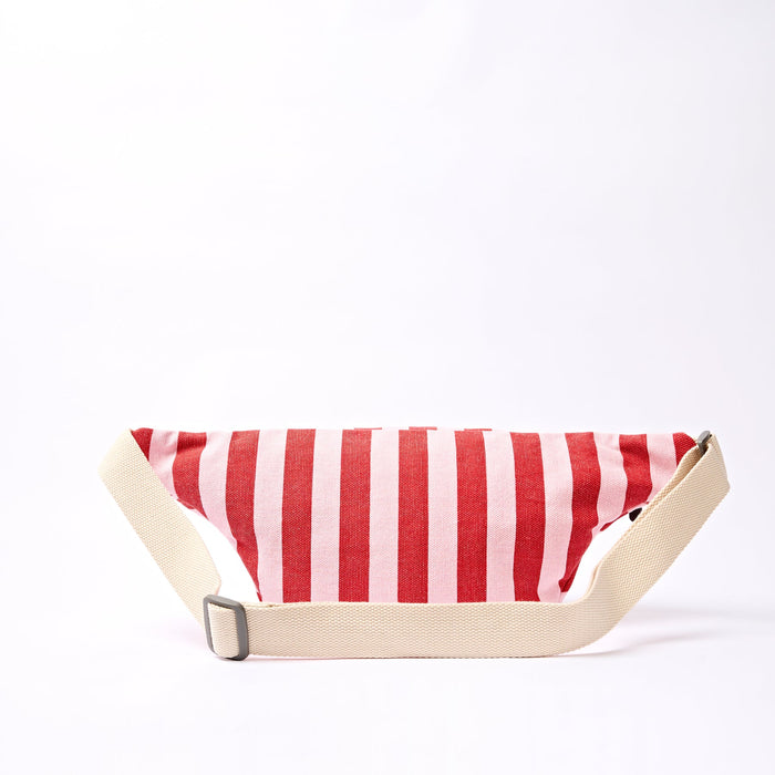 ROKA Mill Hill Crossbody Bag in Strawberry Stripe Cotton Canvas Small