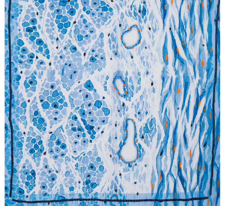 Park Lane Scarf - Blue