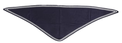 Park Lane Navy Scarf