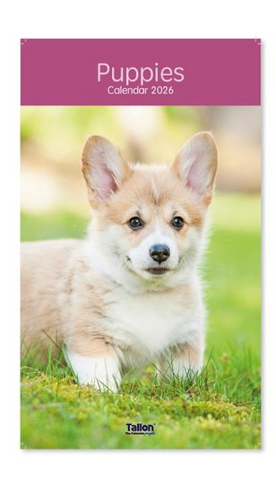 Tallon 2026 Midi Calendar Kittens and Puppies