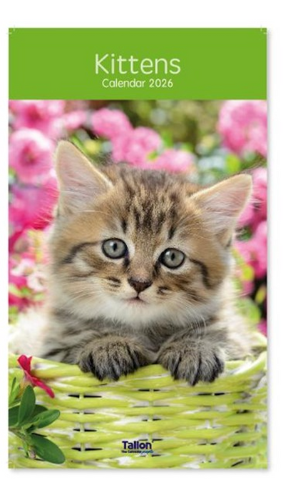 Tallon 2026 Midi Calendar Kittens and Puppies