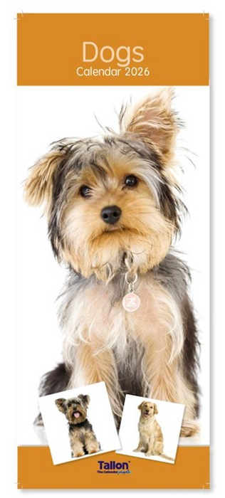 Tallon 2026 Calendar Super Slim Dogs and Puppies