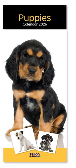 Tallon 2026 Calendar Super Slim Dogs and Puppies