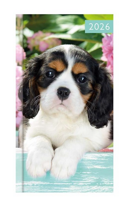 Tallon 2026 Diary Slim Week To View Photo Kitten & Puppy